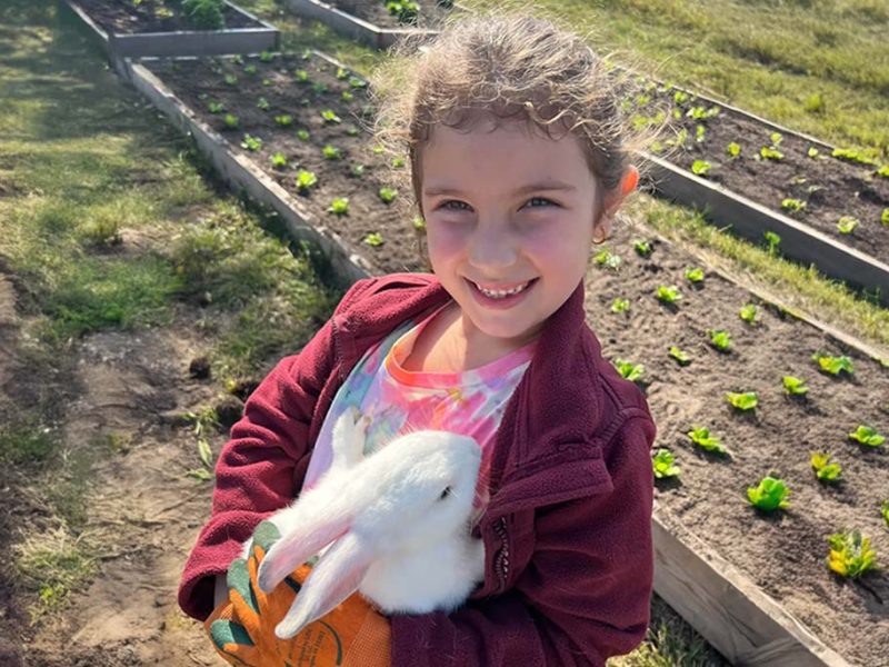 Student holding a white rabbit - with beds of lettuce growning behind them